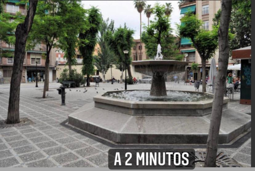 Appartement Luna Centro 5